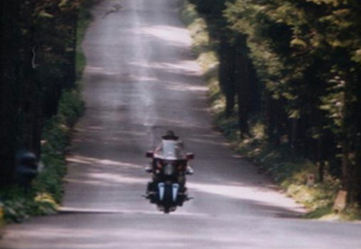 Streifzüge durch Friaul